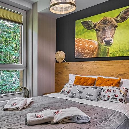 Apartament Spa 04 Resort Kozubnik Blisko Szczyrk - 5D Apartamenty Porąbka Eksteriør billede